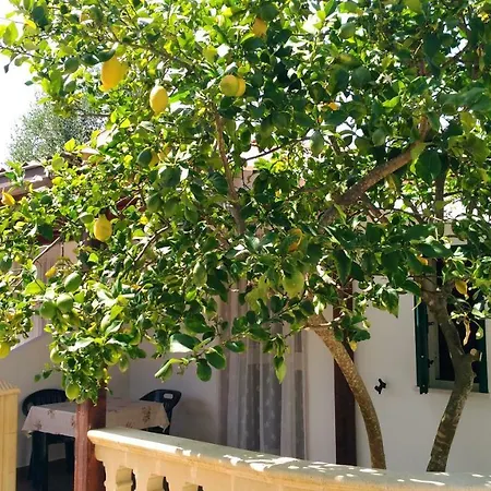 Casa Vacanze La Paloma Peschici Exterior photo